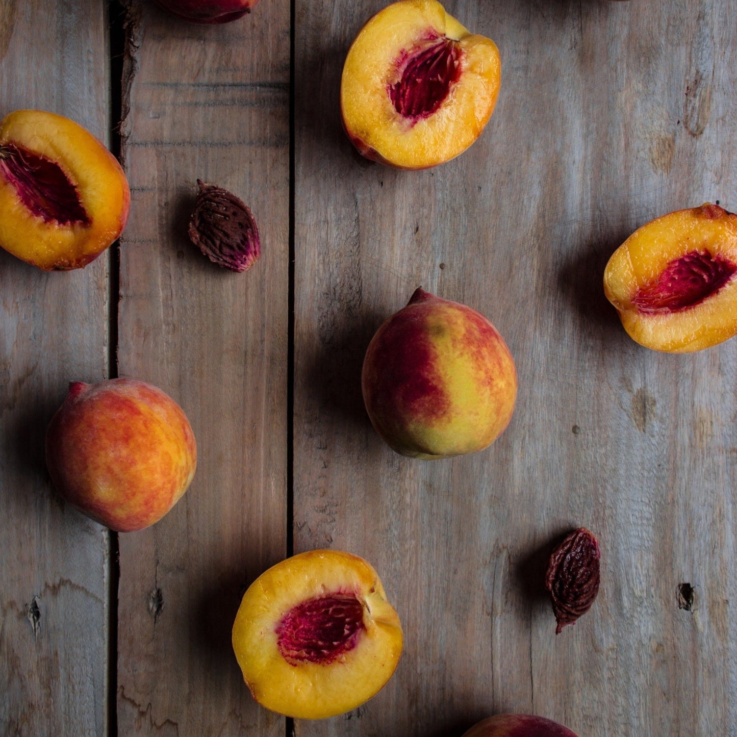 PEACH BELLINI | PEACH NECTAR SOY WAX CANDLE - Wicks+Paws Candle Co
