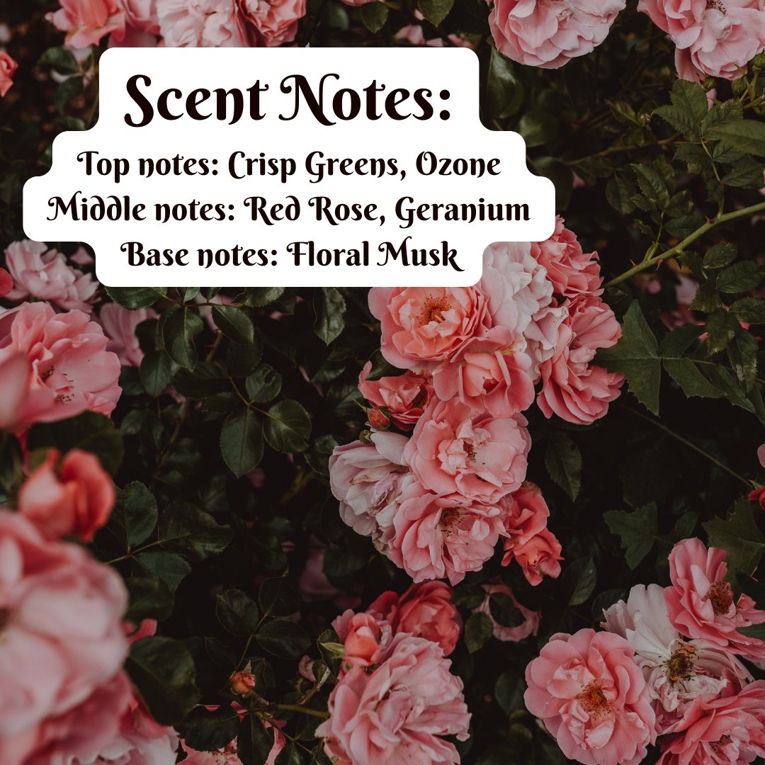 Rose Garden - Snap Bar Wax Melts - Wicks+Paws Candle Co